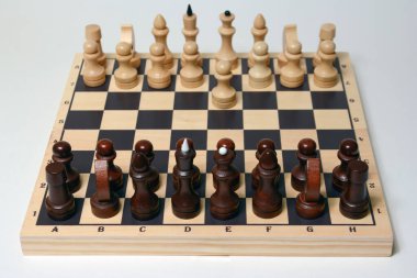 Satranç tahtası oyunu, strateji kavramı