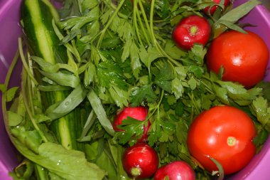 Sebzeler ve sebzeler bir tabakta. Salata için taze sebzeler. Kırmızı domates, yeşil salatalık, turp ve yeşillik
