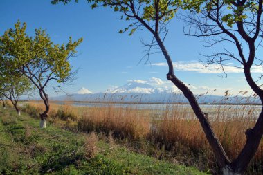 Göl ve ağaçlarla dolu güzel bir dağ ve doğal manzara. Nehir kıyısında ağaçlar ve volkanik dağ. Ararat Dağı 'nın karlı zirvesi