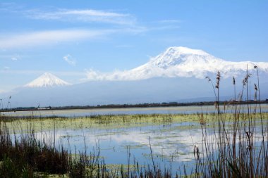 Göl ve orman manzaralı güzel volkanik dağ. Dağ ve nehirle doğal manzara.