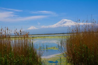 Göl ve orman manzaralı güzel volkanik dağ. Dağ ve nehirle doğal manzara.