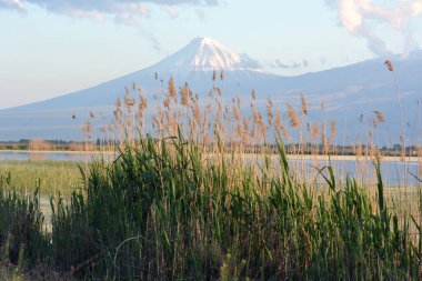 Göl ve orman manzaralı güzel volkanik dağ. Dağ ve nehirle doğal manzara.