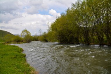Nehir, ağaçlar ve bulutlu gökyüzü olan güzel bir manzara.