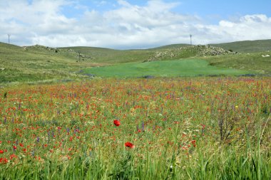 Dağların güzel manzarası