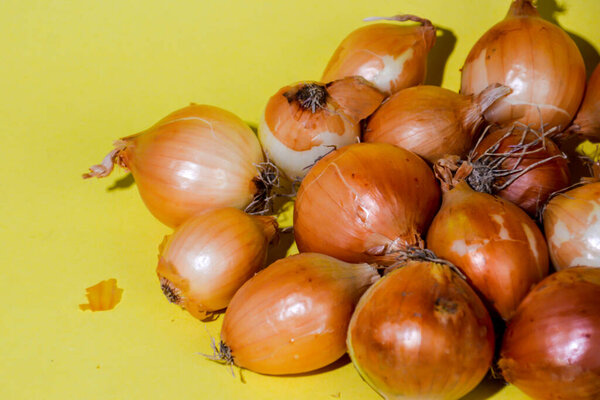 fresh onions on a yellow background