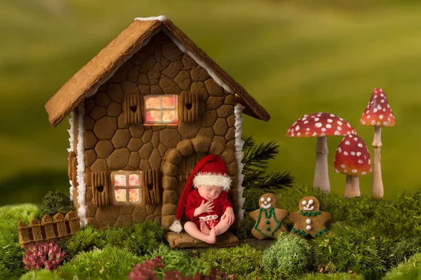 Adorable Newborn Baby Sleeping Front His Edible Cookie Fairy House — Stock Photo, Image