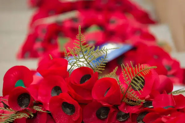 Röda Vallmokransar Vid Menin Gate Ypres Minnesvokat Över Fallna Soldater Stockfoto