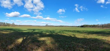 Open grass field in Kalmthout Heath - De Zoom nature reserve