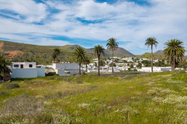 İspanyol Kanarya adası Lanzarote 'de Haria' nın 1000 palmiyesinden oluşan küçük kasaba ve vadisinin manzarası.