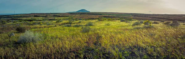Gyllene Timmes Panorama Över Lanzarotes Landskap Våren — Stockfoto