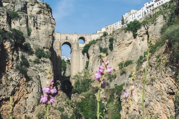 Відомий Вид Каньйон Ель Тахо Ронді Затишному Історичному Місті Андалусії — стокове фото
