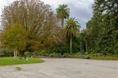 Santiago de Compostela, İspanya, 12 Eylül 2023: Santiago de Compostela 'da Parque da Alameda