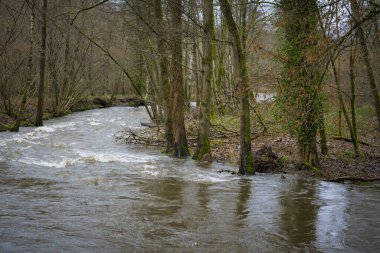 Lomme nehrinin yüksek sularına bakın Mirwart 'ın vincinity' sinde, Belçika 'da Saint Hubert