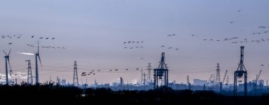 Belçika 'nın Antwerp Limanı' nın sanayisi üzerine alacakaranlık, mavi saat boyunca panorama silueti görünümü.