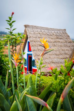 Santana, Madeira, Portekiz, 5 Kasım 2024: Madeira, Portekiz 'deki tarihi Santana evleri