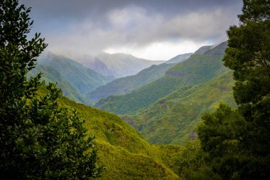 Portekiz 'in Madeira Adası' ndaki ünlü Levada yürüyüş rotası PR6 25 yazı tipi üzerinde Rabacal Vadisi 'ne bakın.