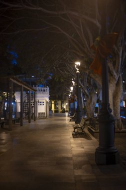 Santa Cruz de La Palma, La Palma, İspanya Kanarya Adaları, 13 Ocak 2024: Plaza de La Alameda, Santa Cruz, La Palma