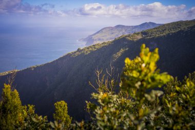Mirador de Dona Pola 'nın Kanarya Adası' ndaki La Palma ve Puerto de Tazacorte 'a bakış açısı
