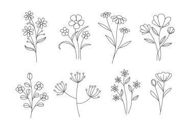 Zarif kır çiçekleri, minimalist bir sanat tarzında, bitkisel bir cazibe dokunuşu için karmaşık çiçek ayrıntılarını yakalıyor.