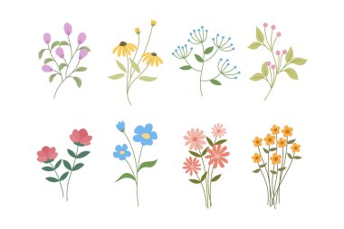 Yapraklar ve saplarla büyüyen renkli çiçek koleksiyonu her tasarıma bir parça doğa katmak için mükemmeldir.