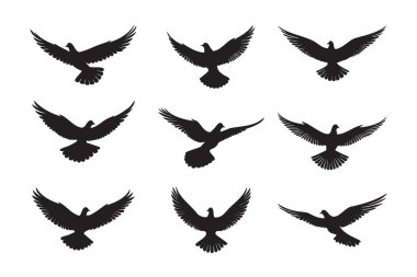 Beyaz arka planda çeşitli uçuş pozisyonlarında dokuz siyah güvercin silueti.