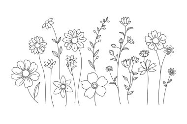 Çeşitli kır çiçekleri ve botaniklerin çizgi çizimi tuhaf bir çayır yaratıyor. Doğayı hisset..