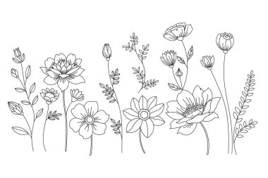 Çeşitli çiçek ve yaprakların yer aldığı zarif çiçek serisi, botanik bir estetik çizim yaratıyor.