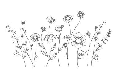Çizgi çizimleri, beyaz arka planda bitkisel tarzda çeşitli çiçek çeşitlerini gösterir.