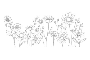 Zarif kır çiçekleri beyazı botanik düzeninde narin çizgi sanatını gösteriyor.