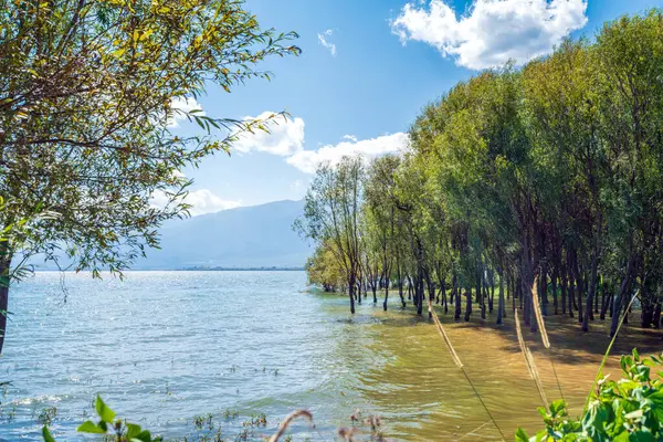 Landschap Van Erhai Lake Gelegen Dali Yunnan China Rechtenvrije Stockfoto's