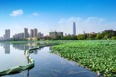 Yangtze Nehri ve gökdelenler, Wuhan, Çin.