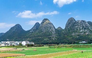 Wanfenglin (Forest of Ten Thousand Peaks), Guizhou, China clipart