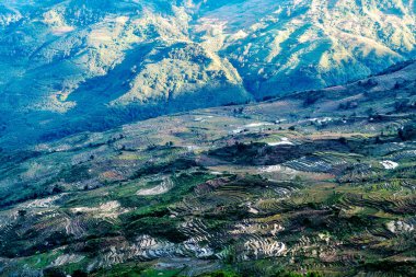 Baohua kasabasındaki Samaba Rice Terasları, Honghe County, Yunnan, Çin.