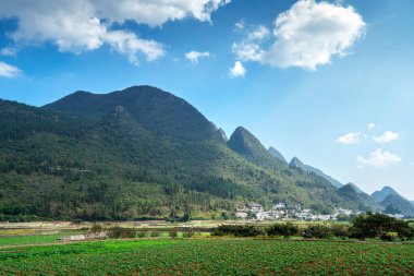 Wanfenglin (Forest of Ten Thousand Peaks), Guizhou, China clipart