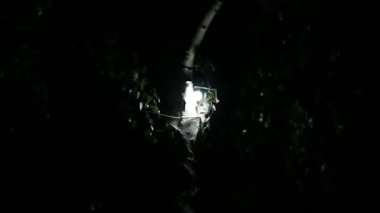 Bir huş ağacının üzerinde yanan LED lamba ve hafif bir rüzgar, gecenin korkunç bir hissi.