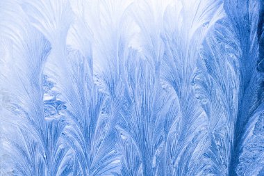 Sabahın erken saatlerinde sert bir buzun camda uyguladığı doku bulanıklaşır.