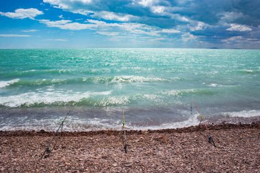 Denizin kıyısındaki çakıl taşlı bir kumsalda duran dönen çubuklar dalgalı bir rüzgarda büyük bir balığın ısırığını bekliyorlar.