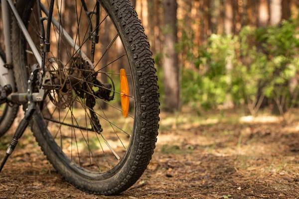 stock image a lying hiking backpack lying next to a bicycle on the ground on a forest path in a coniferous thicket