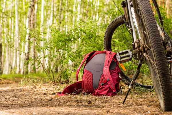 stock image a lying hiking backpack lying next to a bicycle on the ground on a forest path in a coniferous thicket