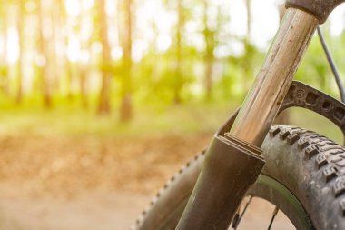 Bulanık orman arkaplanı, ön ve arka plan bokeh etkisi ile bulanık motorun yakın plan detayları