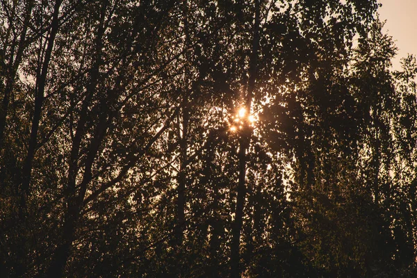 Nap Átsüt Egy Koronáján Egy Gyönyörű Meleg Naplementén Egy Füstrétegen — Stock Fotó