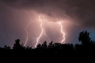 Gece gök gürültülü bir fırtınada, karanlık gökyüzüne karşı, bir yangına neden olan bir ormanda, yağmurlu bir fırtınada güzel bir yıldırım.