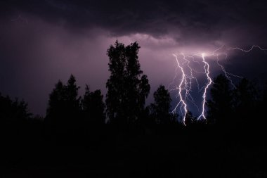 Gece gök gürültülü bir fırtınada, karanlık gökyüzüne karşı, bir yangına neden olan bir ormanda, yağmurlu bir fırtınada güzel bir yıldırım.