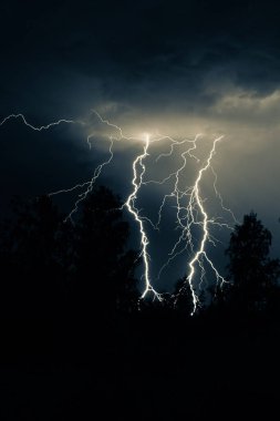 Gece gök gürültülü bir fırtınada, karanlık gökyüzüne karşı, bir yangına neden olan bir ormanda, yağmurlu bir fırtınada güzel bir yıldırım.