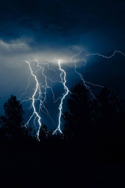 Gece gök gürültülü bir fırtınada, karanlık gökyüzüne karşı, bir yangına neden olan bir ormanda, yağmurlu bir fırtınada güzel bir yıldırım.