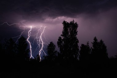 Gece gök gürültülü bir fırtınada, karanlık gökyüzüne karşı, bir yangına neden olan bir ormanda, yağmurlu bir fırtınada güzel bir yıldırım.