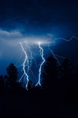 Gece gök gürültülü bir fırtınada, karanlık gökyüzüne karşı, bir yangına neden olan bir ormanda, yağmurlu bir fırtınada güzel bir yıldırım.