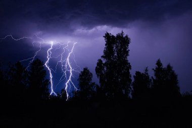 Gece gök gürültülü bir fırtınada, karanlık gökyüzüne karşı, bir yangına neden olan bir ormanda, yağmurlu bir fırtınada güzel bir yıldırım.