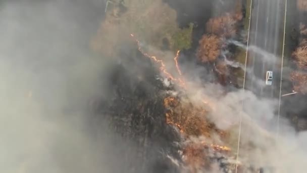 Tűz Tavasz Halott Mellett Egy Forgalmas Filmezés Egy Quadcopter Drón — Stock videók