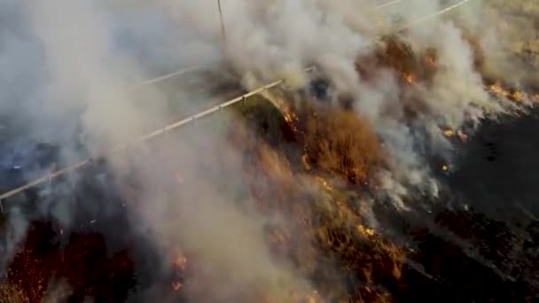 在一条繁忙的道路旁边 从四合院和无人驾驶飞机上拍摄的春天枯木大火 — 图库视频影像